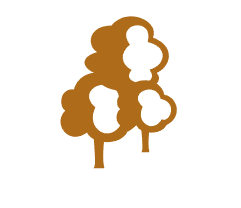 New RPG content
