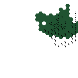 RPG map