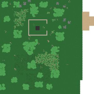 assets_item_title_Map_square