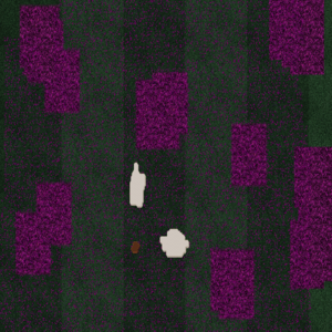 RPG map