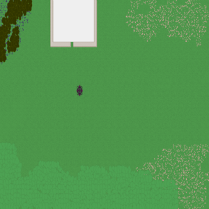 RPG map
