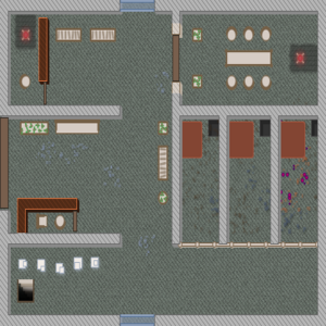 assets_item_title_Map_square
