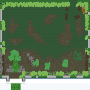 RPG map