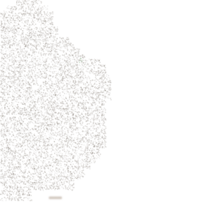 RPG map