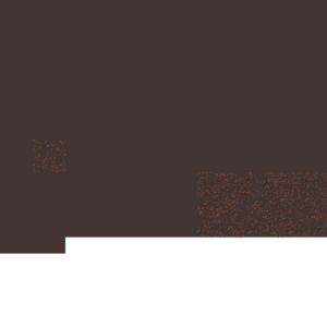 assets_item_title_Map_square