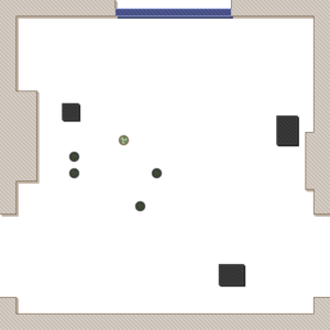 assets_item_title_Map_square