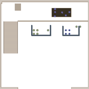 assets_item_title_Map_square